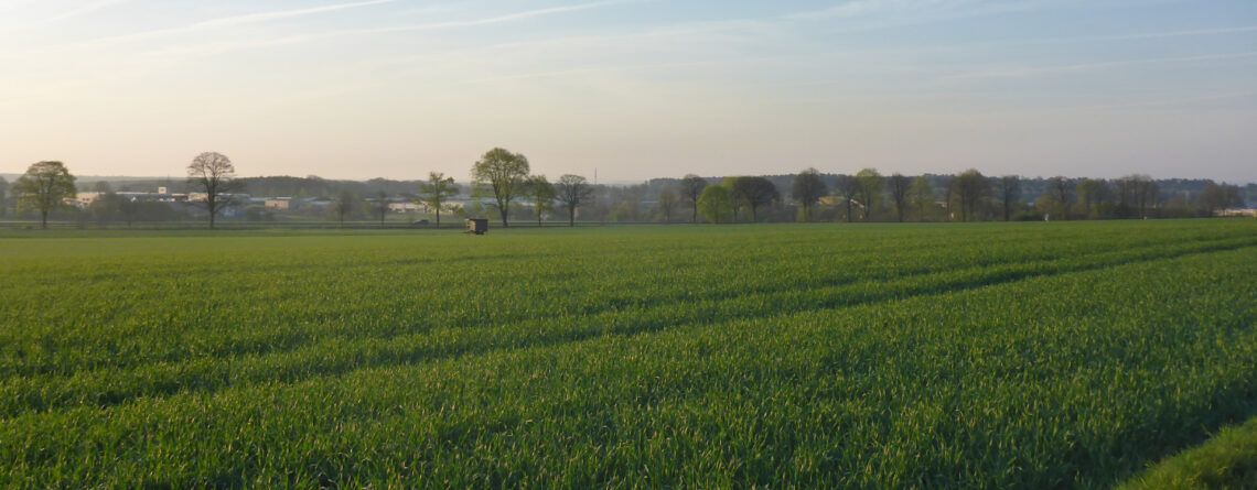 Umweltbericht zum GE II „Vaenser Heide, Erweiterung Nord“, Buchholz i.d.N.