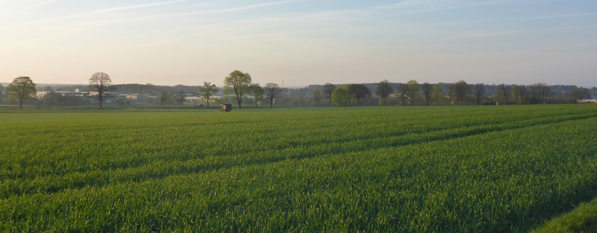 Umweltbericht zum GE II „Vaenser Heide, Erweiterung Nord“, Buchholz i.d.N.