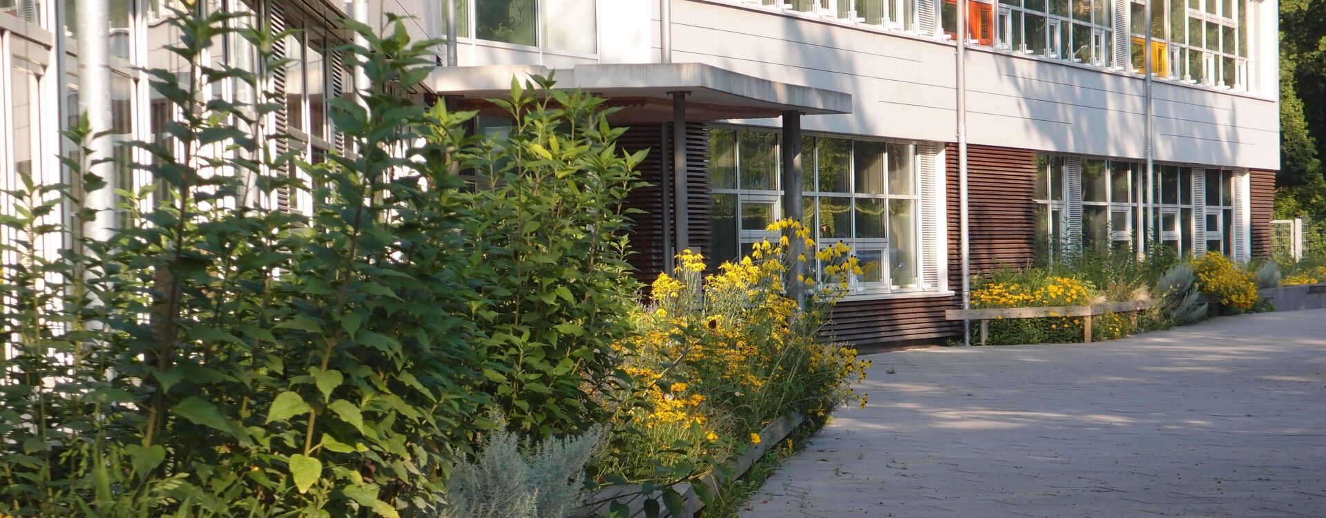 CO₂-neutrale Grundschule Klein Flottbeker Weg, Hamburg