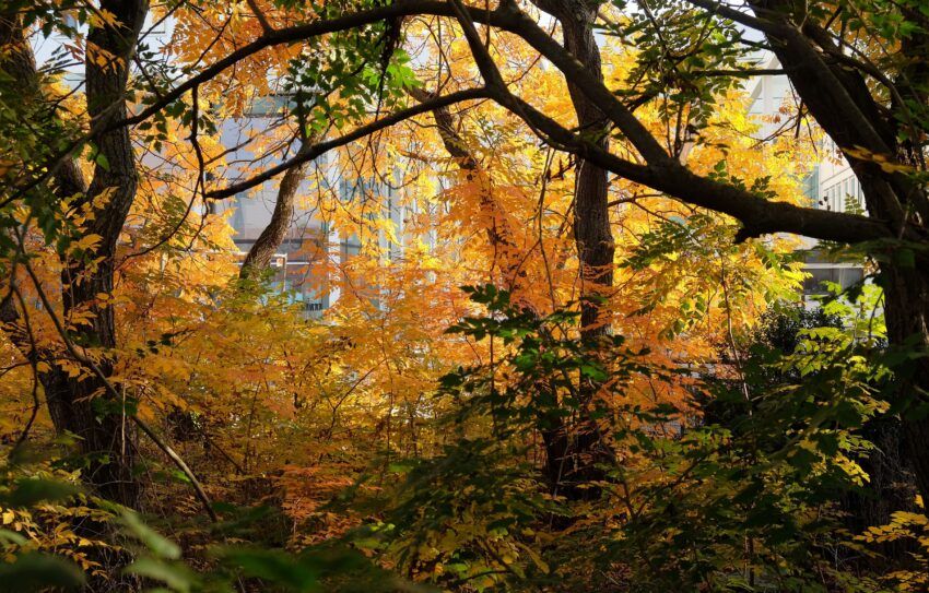 Herbstfeuer!