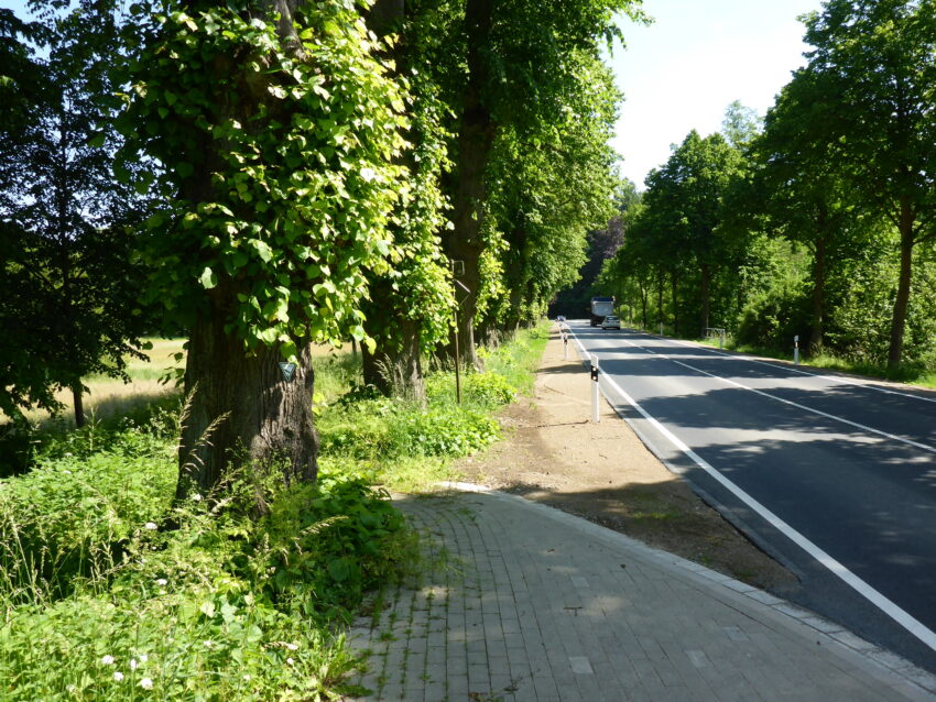 Umweltbaubegleitung für den Umbau der Ortsdurchfahrt Göhrde erfolgreich abgeschlossen