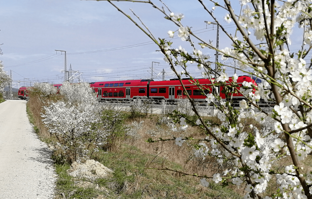 Ökologische Bauüberwachung für die Ausbaustrecke VDE 8.1.1